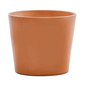 10.25 in. Terracotta Clay Flair Pot Cabo