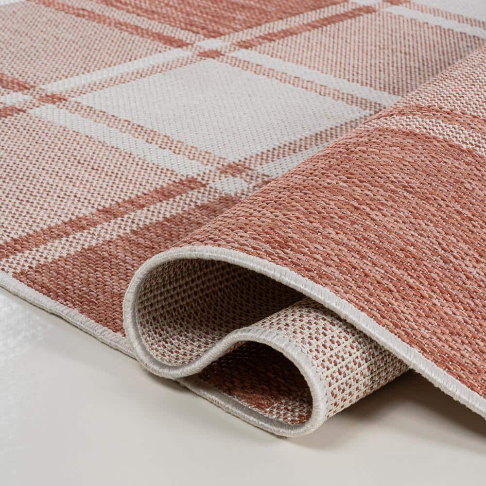 Sabine Salmon and Cream Synthetic 3 x 5 Rectangular Area Rug
