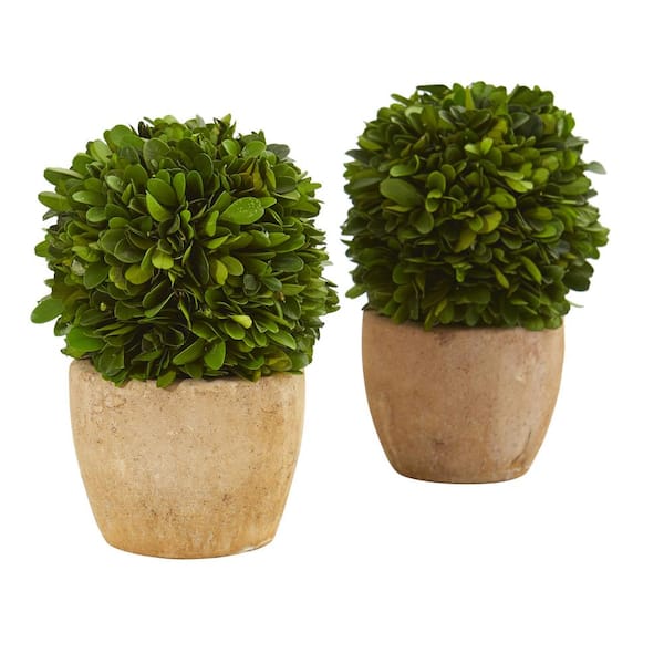 Nearly Natural 7in. Artificial Boxwood Ball Preserved Plant in Decorative Planter (Set of 2 )