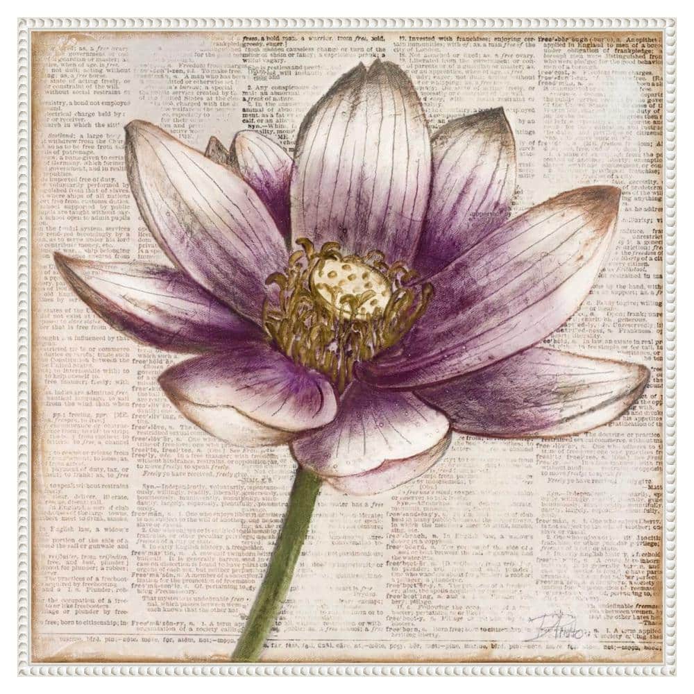 Patricia Pinto Framed Lotus Flower Canvas Art with Beaded Perimeter