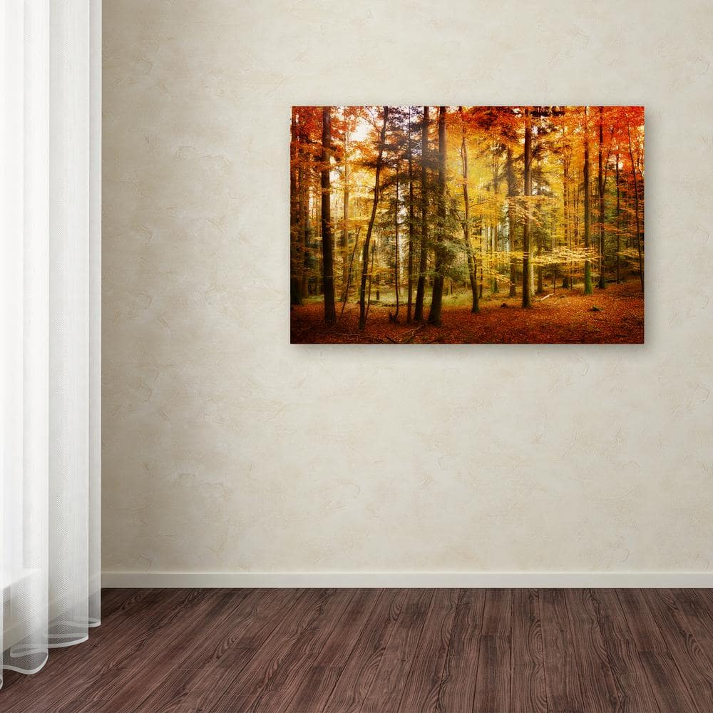 Philippe Sainte-Laudy Autumn Forest Yellow Orange Canvas Art 22x32