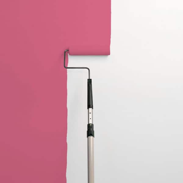 Cherry Pink PPG1183-6 Paint