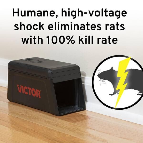 victor electronic rat trap home depot