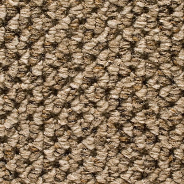 Home Depot Decorators Collection Carpet Reviews Home Decorating Ideas   Quebec Home Decorators Collection Ef 998067 64 600 