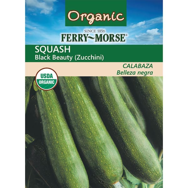 NC Heirloom Zucchini Squash Seeds Black Beauty Non GMO NC Heirloom Zucchini Squash Seeds Black Beauty Non GMO