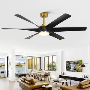 ANTOINE 42 in. Industrial Indoor Black Caged Ceiling Fan with Light and  Remote, Farmhouse 5-Light Retractable Ceiling Fan HD-FSD-66 - The Home Depot