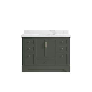 Alys 48 in. W x 22 in. D x 36 in. H Single Sink Bath Vanity in Pewter Green with 2 in. Calacatta Nuvo Quartz Top