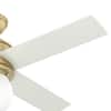 Hunter Hepburn 44 in. LED Indoor Modern Brass Ceiling Fan with Light and Wall Control 52313