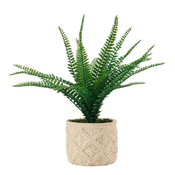 Elements 18 in. Green Artificial Fern in Embossed Cement Pot