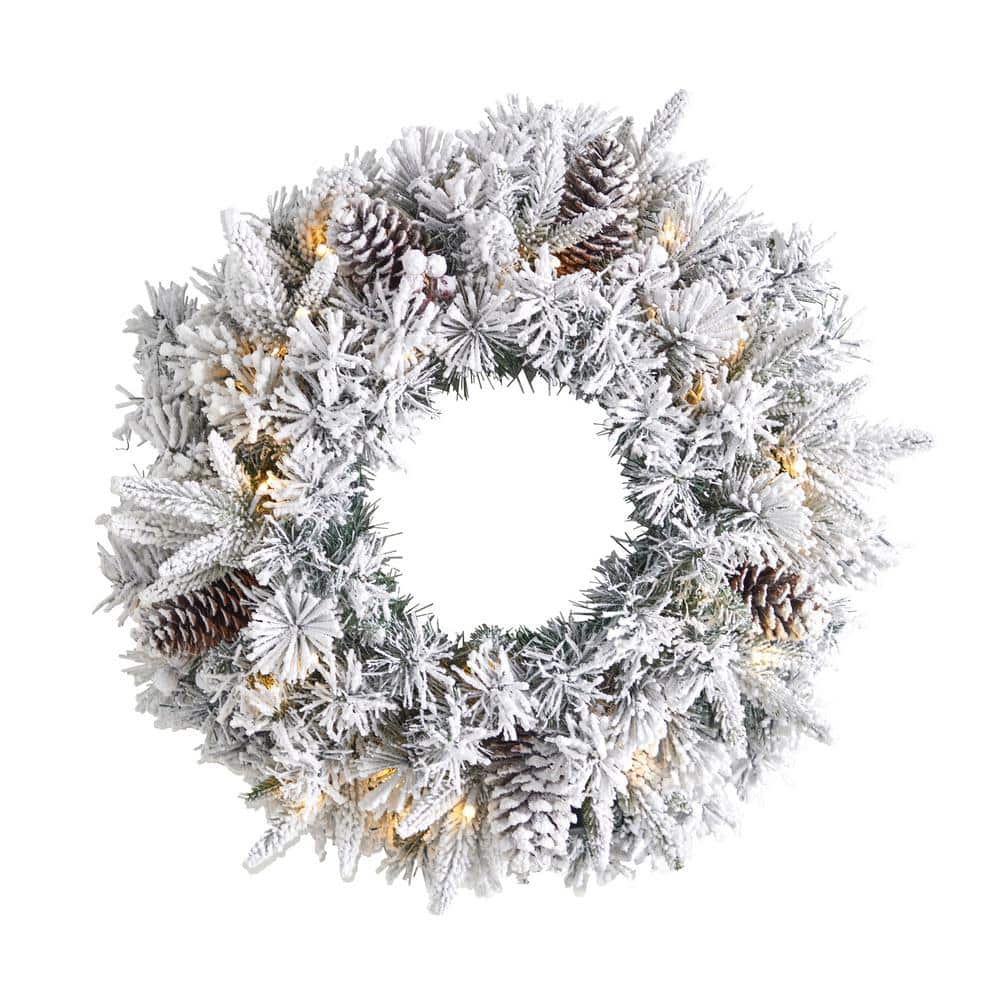 20 in. Prelit LED Flocked Artificial Christmas Wreath with 35 Warm White LED Lights price history on PriceWatchPro