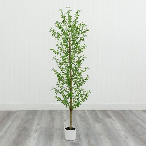 5.9 ft. Artificial Black Olive Tree in White Pot