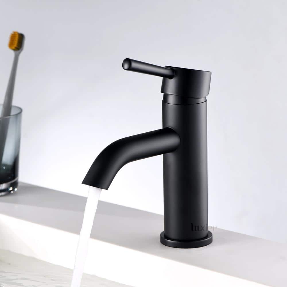 Matte Black Single-Handle Bathroom Faucet with Drain Assembly