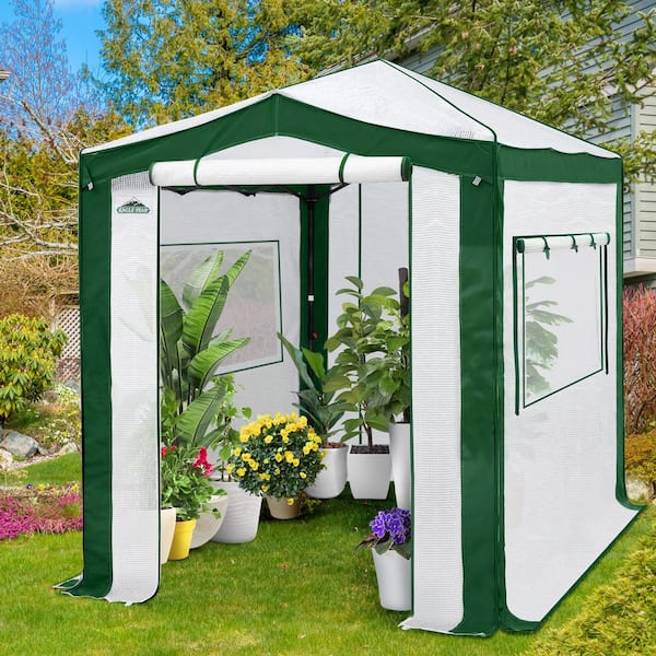 6 ft. W x 8 ft. D Pop-Up Walk-in Gardening Greenhouse Canopy, White/Green