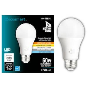60-Watt Equivalent A19 Dimmable CEC Motion Sensor LED Light Bulb with Selectable Color Temperature (1-Pack)