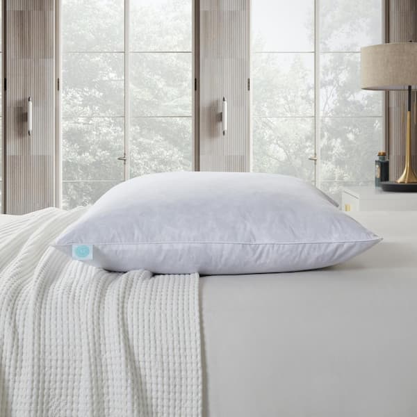 Martha Stewart Medium Firm 2-Pack Feather Euro Pillow Inserts, White