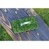 Unbranded SodPods St. Augustine Provista 64-Pack T8PVISTA64