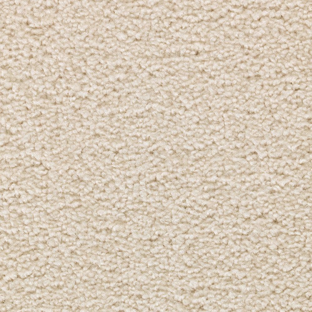 8 in. x 8 in. Texture Carpet Sample - Unblemished I -Color Delta price history on PriceWatchPro
