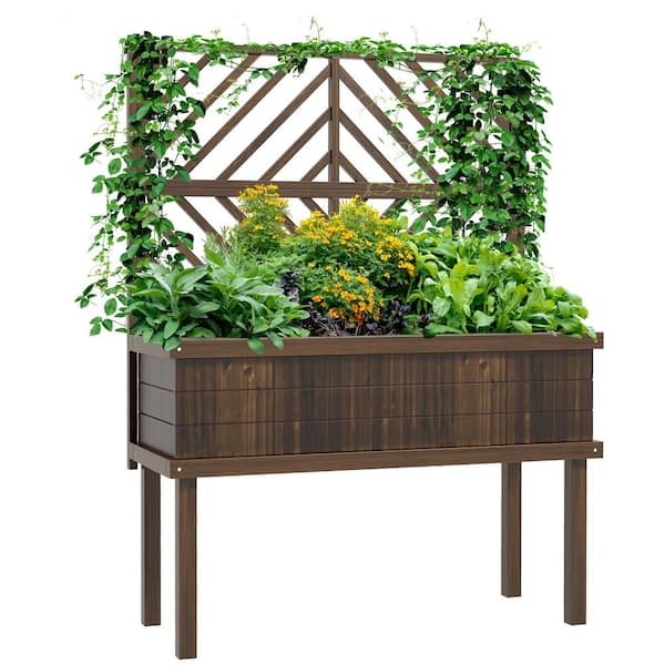 Unbranded Garden Bed with Trellis for Climbing Plants, Natural Wood Color, Wood, Rectangle Shape, Outdoor Use for Vegetable