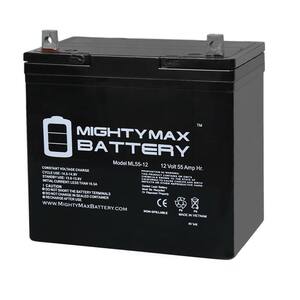 MIGHTY MAX BATTERY BATTERY PRIDE JAZZY 600,1115,1121 PS-12550 22NF