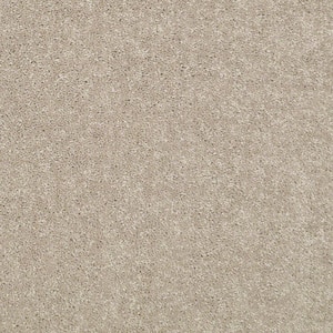 8 in. x 8 in. Texture Carpet Sample - Watercolors I - Color Toast