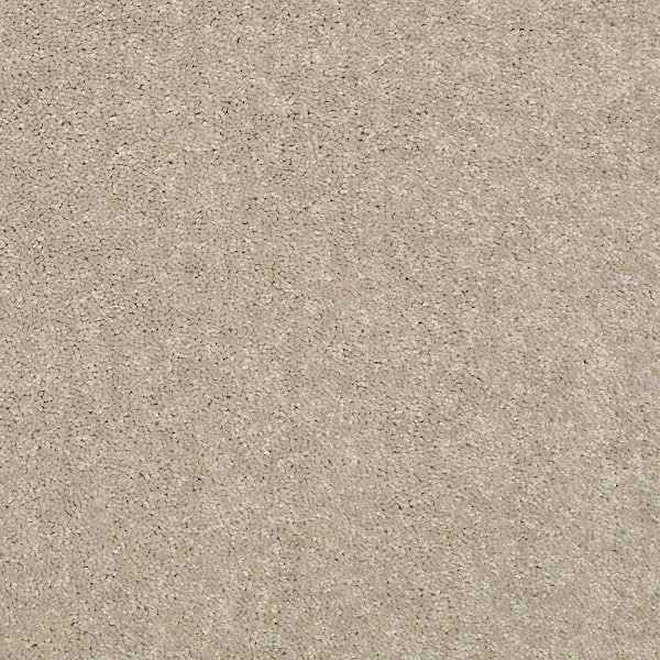 TrafficMaster 8 in. x 8 in. Texture Carpet Sample - Watercolors I - Color Toast