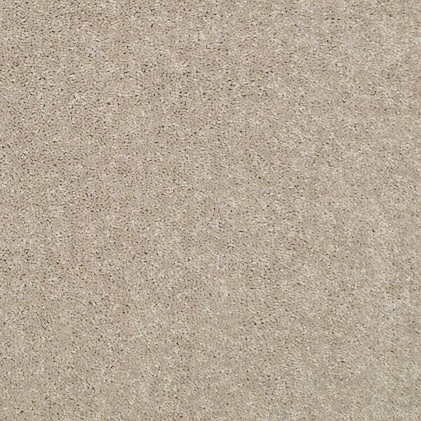 Trafficmaster 8 In X Texture Carpet Sample Watercolors Ii Color Toast Sh 368265 The