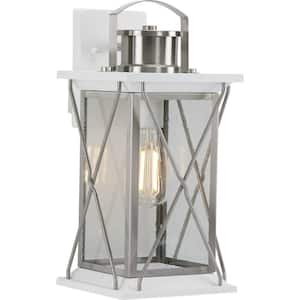 Barlowe Collection 1-Light Stainless Steel Clear Seeded Glass Farmhouse Outdoor Medium Wall Lantern Light