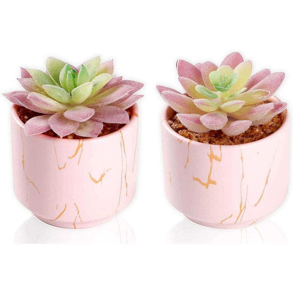 3.1 in. Pink Indoor Artificial Succulent Plant Set of 2 for Tabletop Living Room Bathroom Office Decoration price history on PriceWatchPro