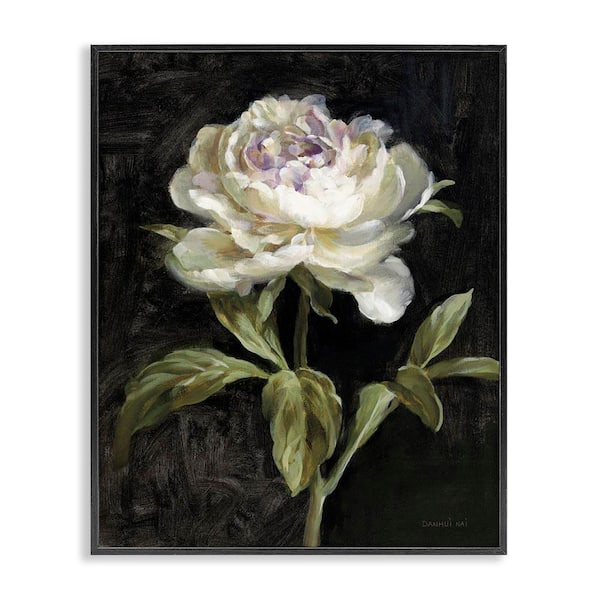 Peony on Black by Danhui Nai Black Framed Nature Giclee Art Print 14 in. x 11 in.