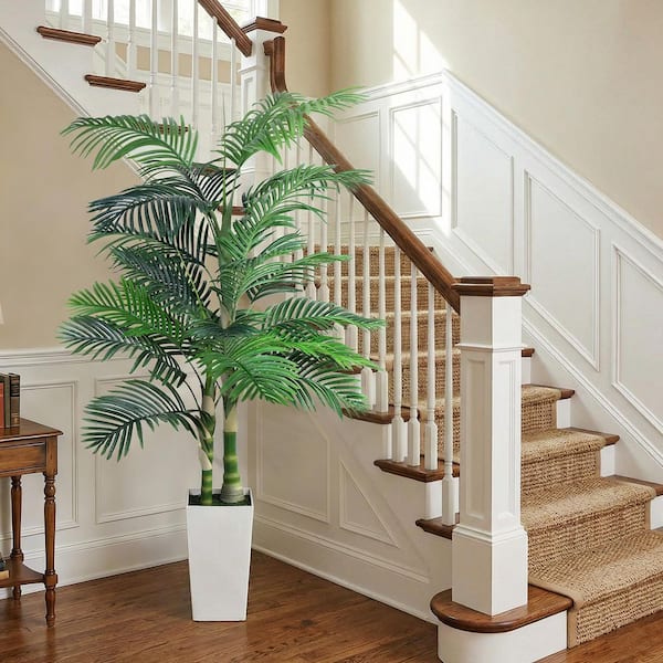 Wekiva Foliage Sylvester Palm - Live Plant in a 3 Gal. Growers Pot