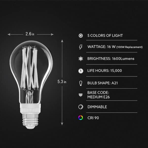100-Watt Equivalent A21 Dimmable White Filament CEC Clear Glass E26 LED Light Bulb Adjustable White 2700K-5000K(12-Pack)