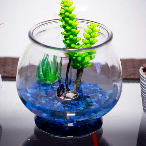 Single Jet Pond Fogger with Transformer Outdoor Decor Accessory