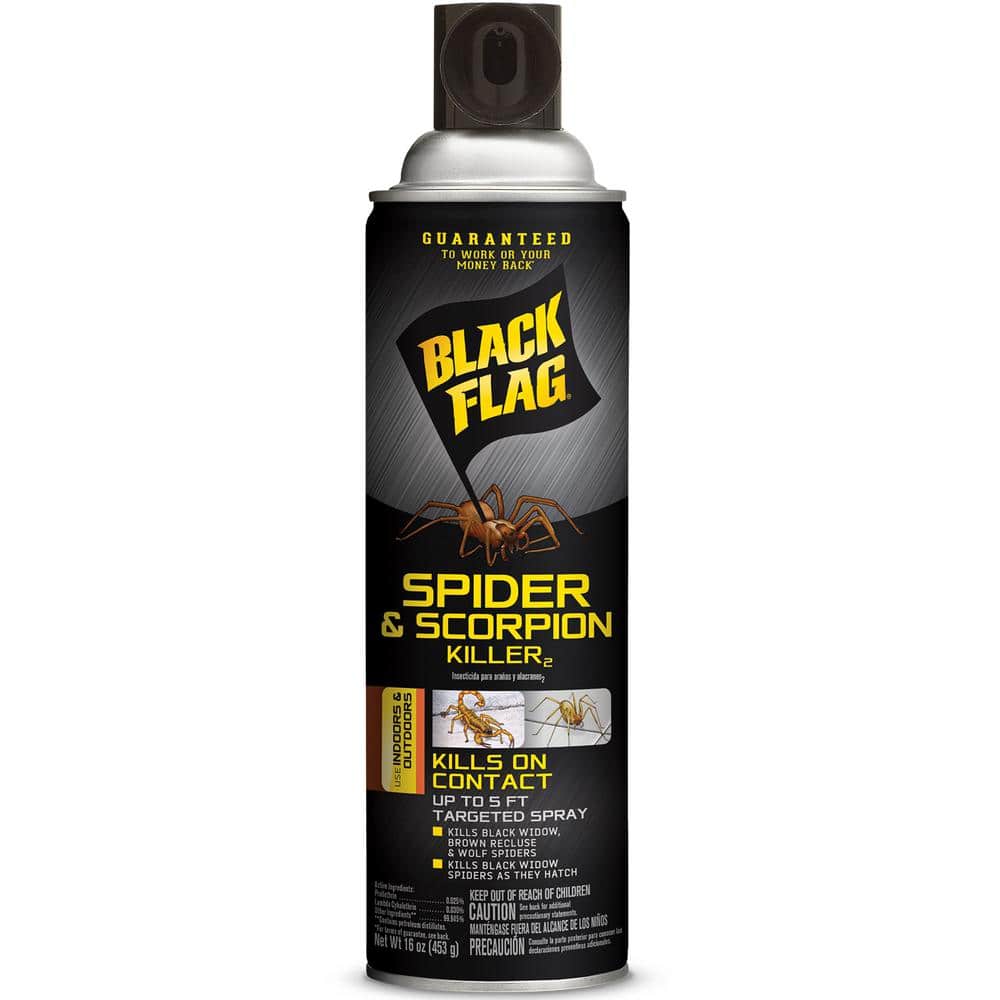 Black Flag Spider and Scorpion Killer 18 oz. Aerosol Clean Fresh Scent  Spray HG-11027-2 - The Home Depot