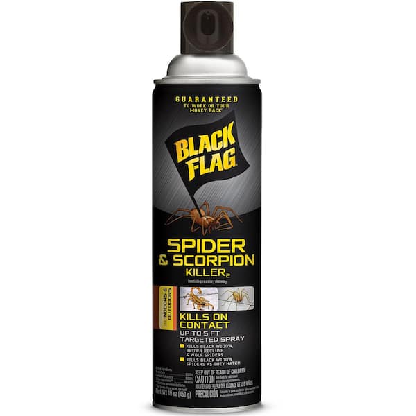 Black Flag Spider and Scorpion Insect Killer 18 oz. Aerosol Spray