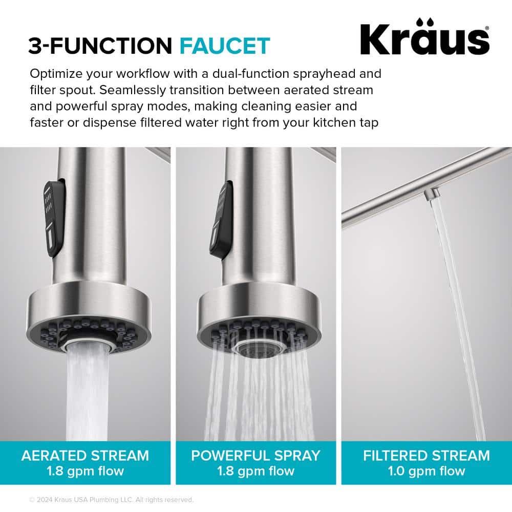 Matte Black 2-in-1 Pull-Down Kitchen Faucet with Water Filter