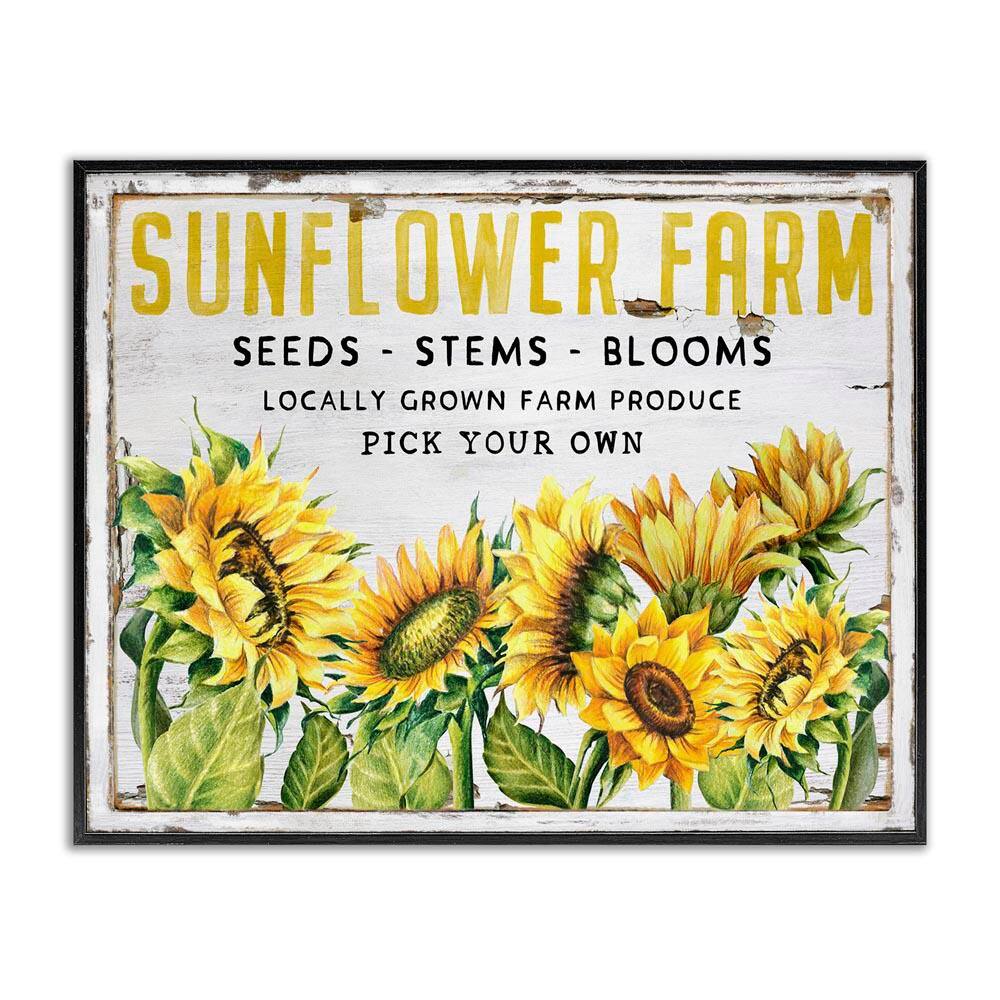 Antique Sunflower Seeds by Creatif Belle Black Framed Nature Giclee Art Print 16 in. x 20 in. price history on PriceWatchPro