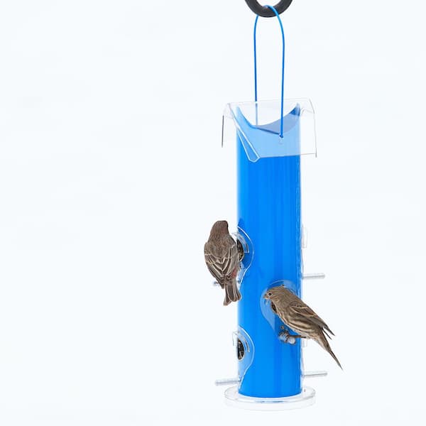 Perky-Pet 1 lb Blue Metal Tube Wild Bird Feeder