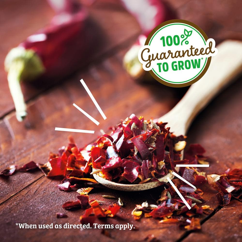 Back to the Roots Organic Self-Watering Chili Pepper Grow Kit