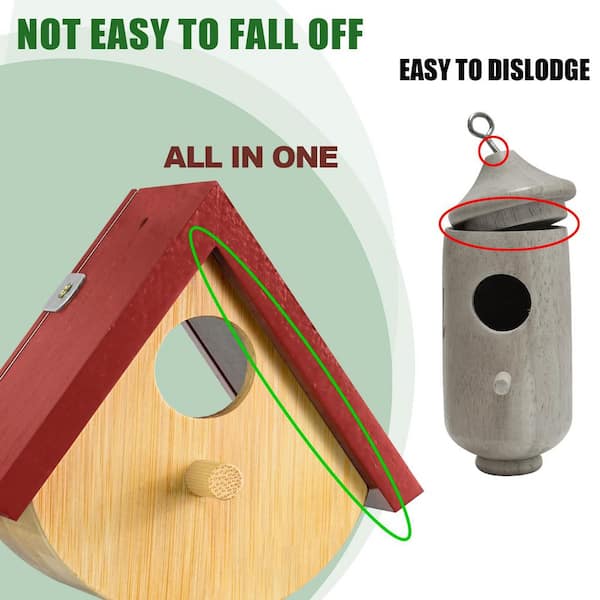 Hummingbird Nest Box Size