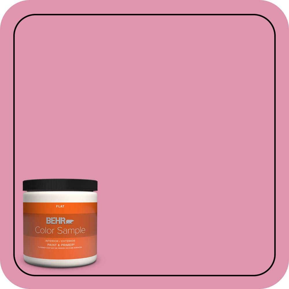 8 oz. #P130-4 Its a Girl Flat Interior/Exterior Paint & Primer Color Sample price history on PriceWatchPro