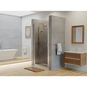 Paragon 24 in. to 24.75 in. x 70 in. Framed Continuous Hinged Shower Door in Brushed Nickel with Aquatex Glass