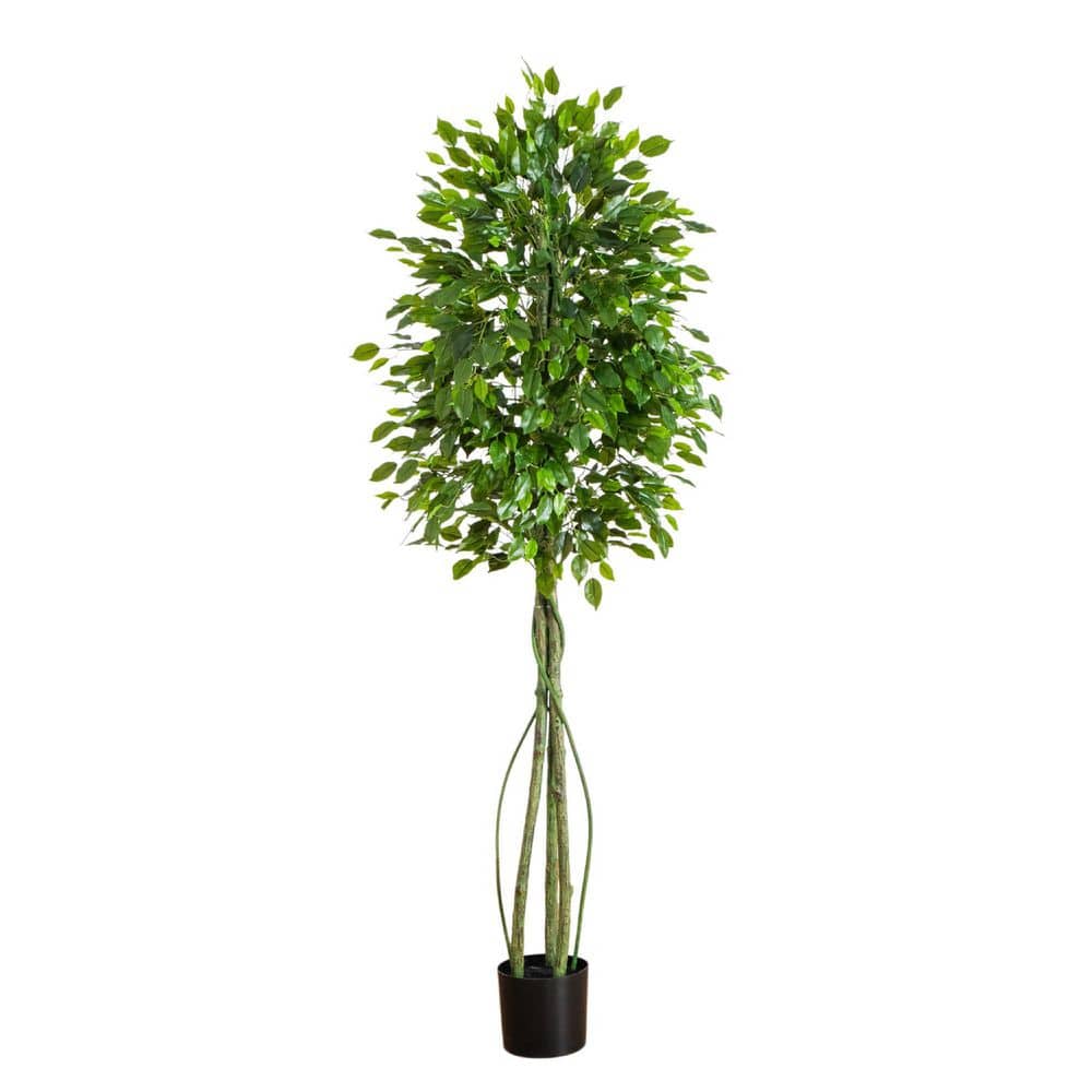 6.5ft. UV Resistant Artificial Ficus Tree (Indoor/Outdoor) price history on PriceWatchPro