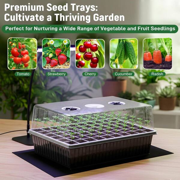 short plant stands indoor Mini 2-Inch Wood Indoor Plant Stand & Pot