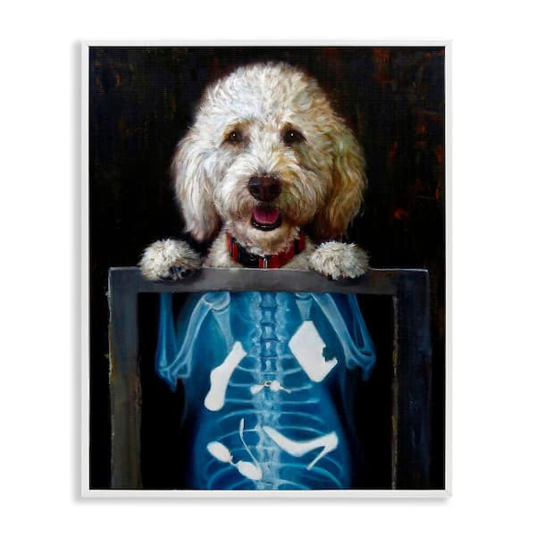 Stupell Industries Funny Dog X-Ray Snacks by Lucia Heffernan 1-Piece White Framed Animal Giclee Art Print 14 in. x 11 in.