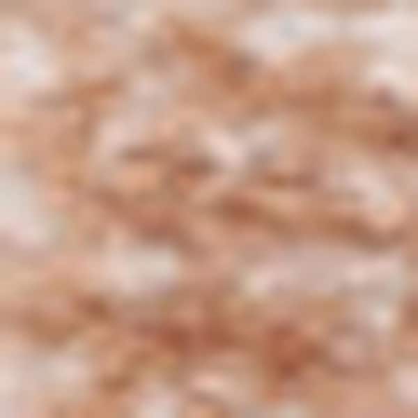 2 ft. x 8 ft. Red Oriental Washable Area Rug