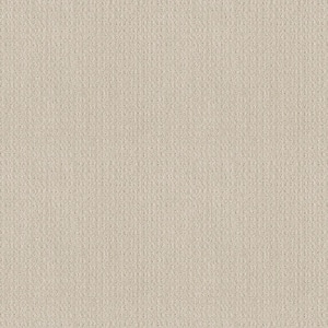 Boxton - Shoreline Haze - Beige 32.7 oz. Nylon Pattern Installed Carpet