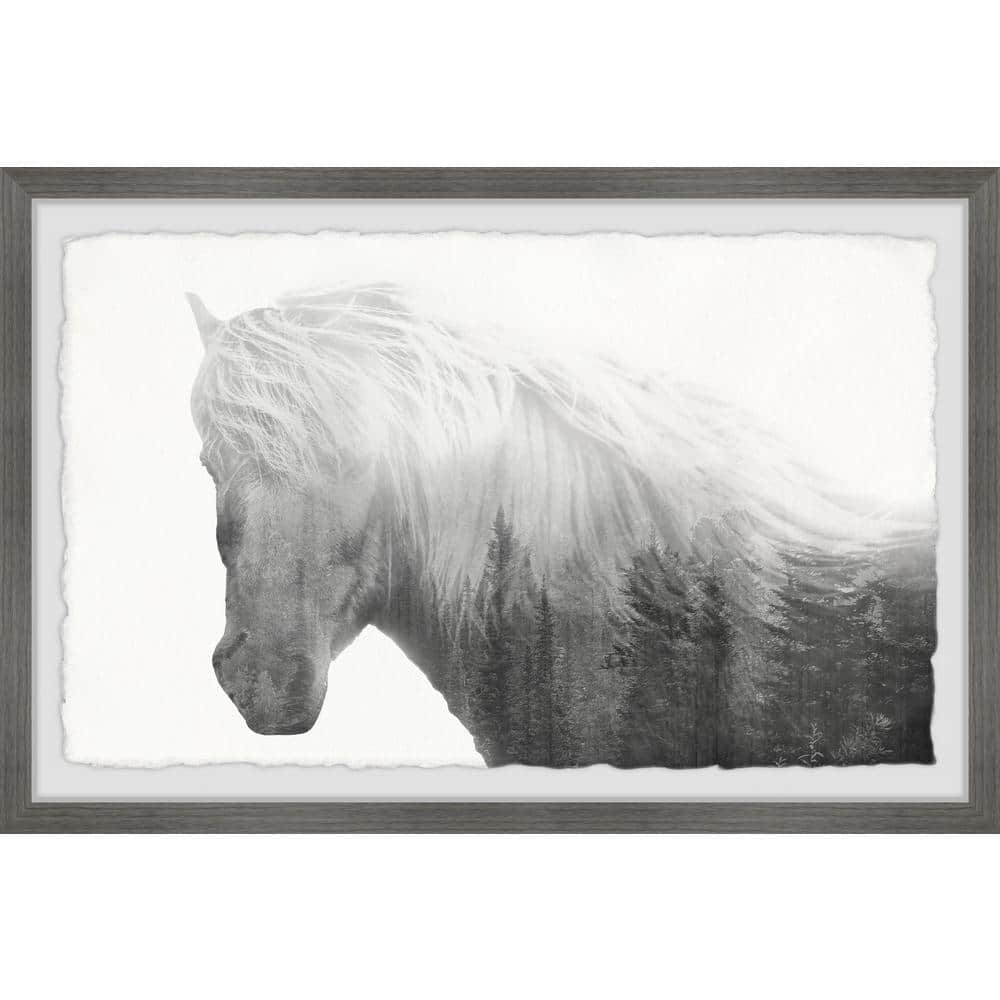 Dramatic Horse by Marmont Hill Framed Animal Art Print 16 in. x 24 in.