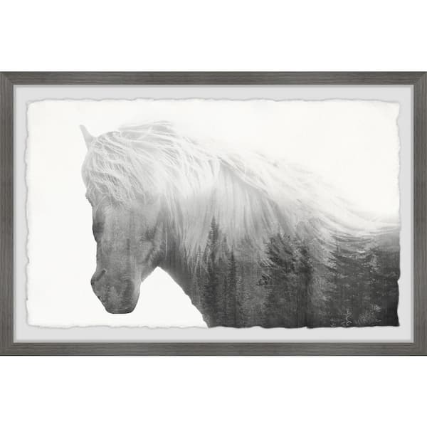 Unbranded "Dramatic Horse" by Marmont Hill Framed Animal Art Print 16 in. x 24 in.