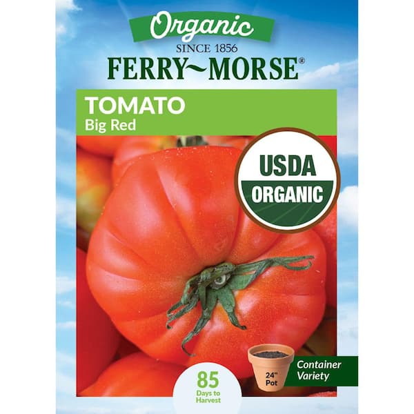 Organic Tomato Big Red Heirloom Fruit Seeds