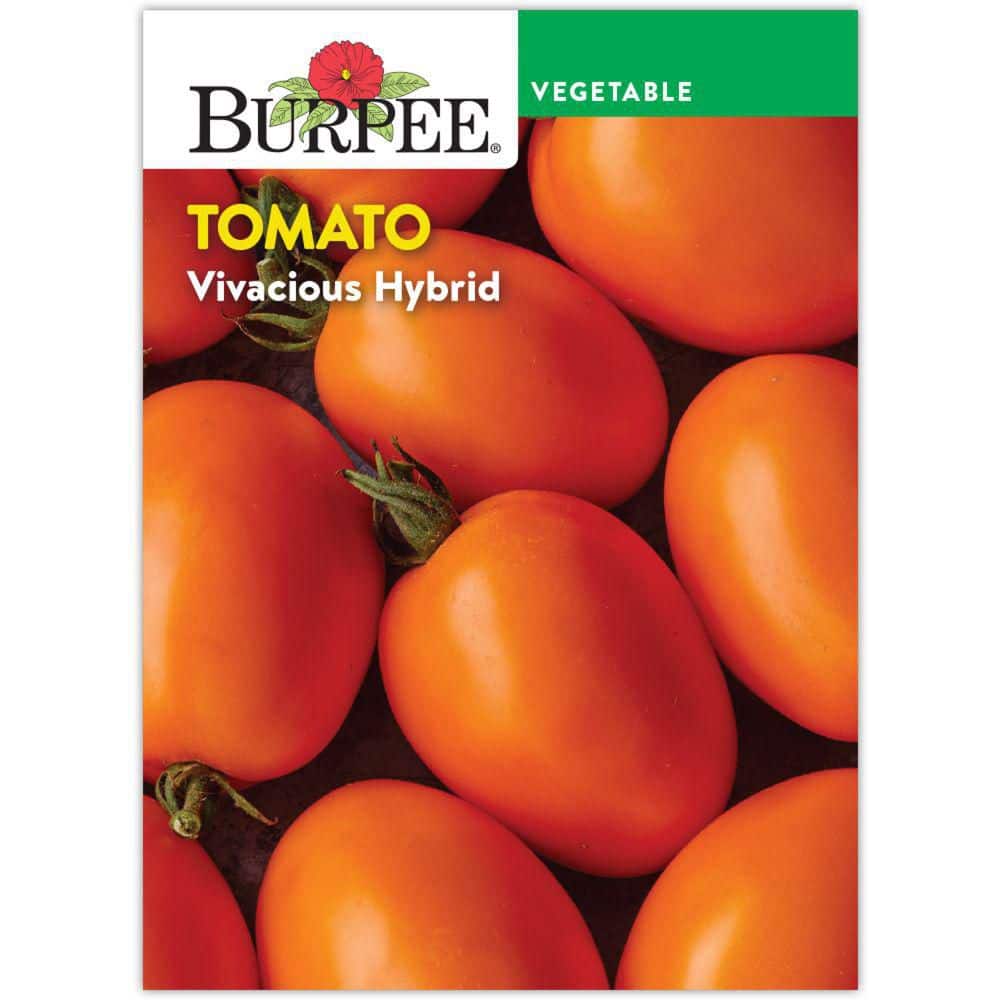 Burpee Tomato Vivacious Vegetable Seed 65762 - The Home Depot